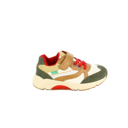 img-responsive