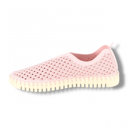img-responsive