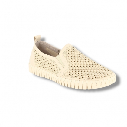 img-responsive